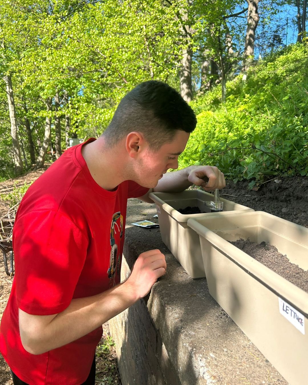 A young man in a red shirt is conducting a scientific experiment outdoors, using a dropper in a small container with soil, next to plastic bins filled with soil, on a concrete ledge amidst green trees and sunny weather.