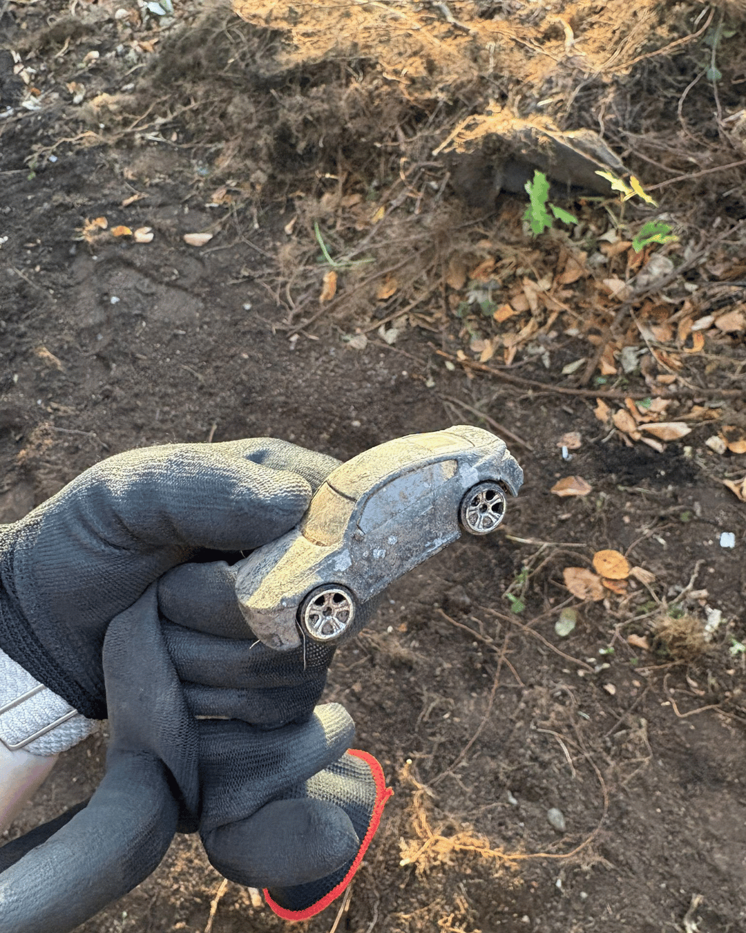 A person wearing a black glove is holding a small, dirty, toy-like car with silver wheels over bare soil with dead leaves and small plants.