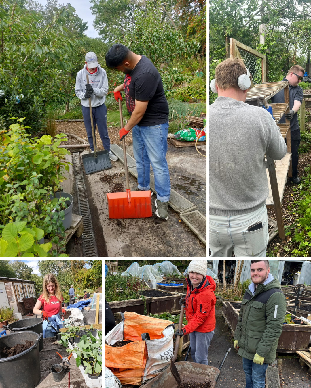 Group of people working on gardening and landscaping projects at an outdoor community garden. They are planting, digging, and working with soil and plants.