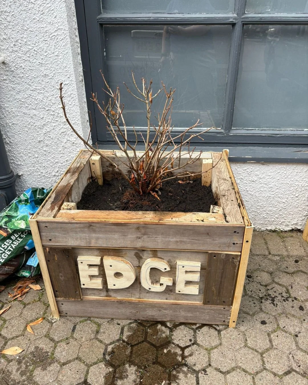 A wooden planter box with the word "EDGE" spelled out on it, containing a leafless bush or small tree, situated on a stone-paved area in front of a window.
