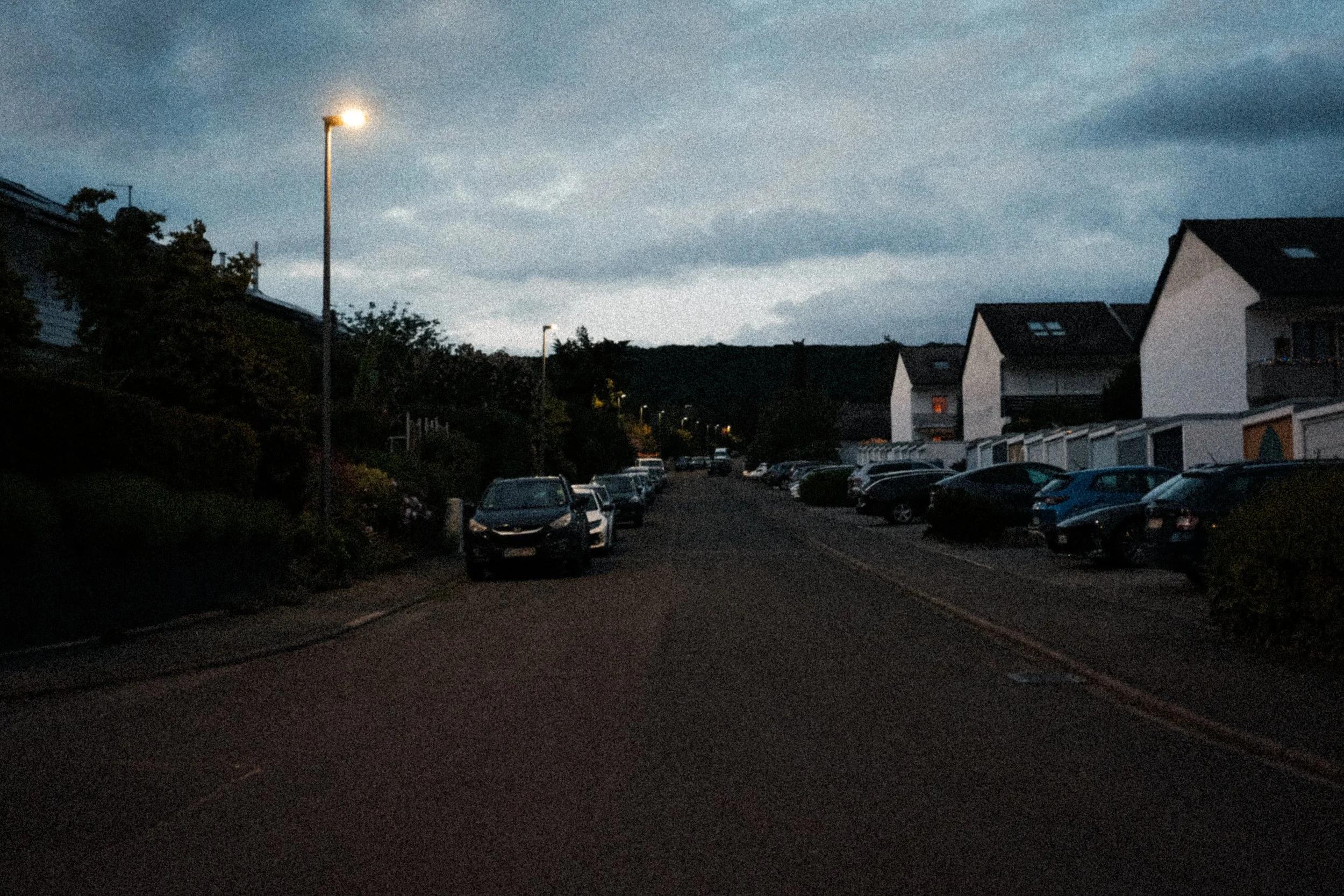 DSCF4865-2.jpg