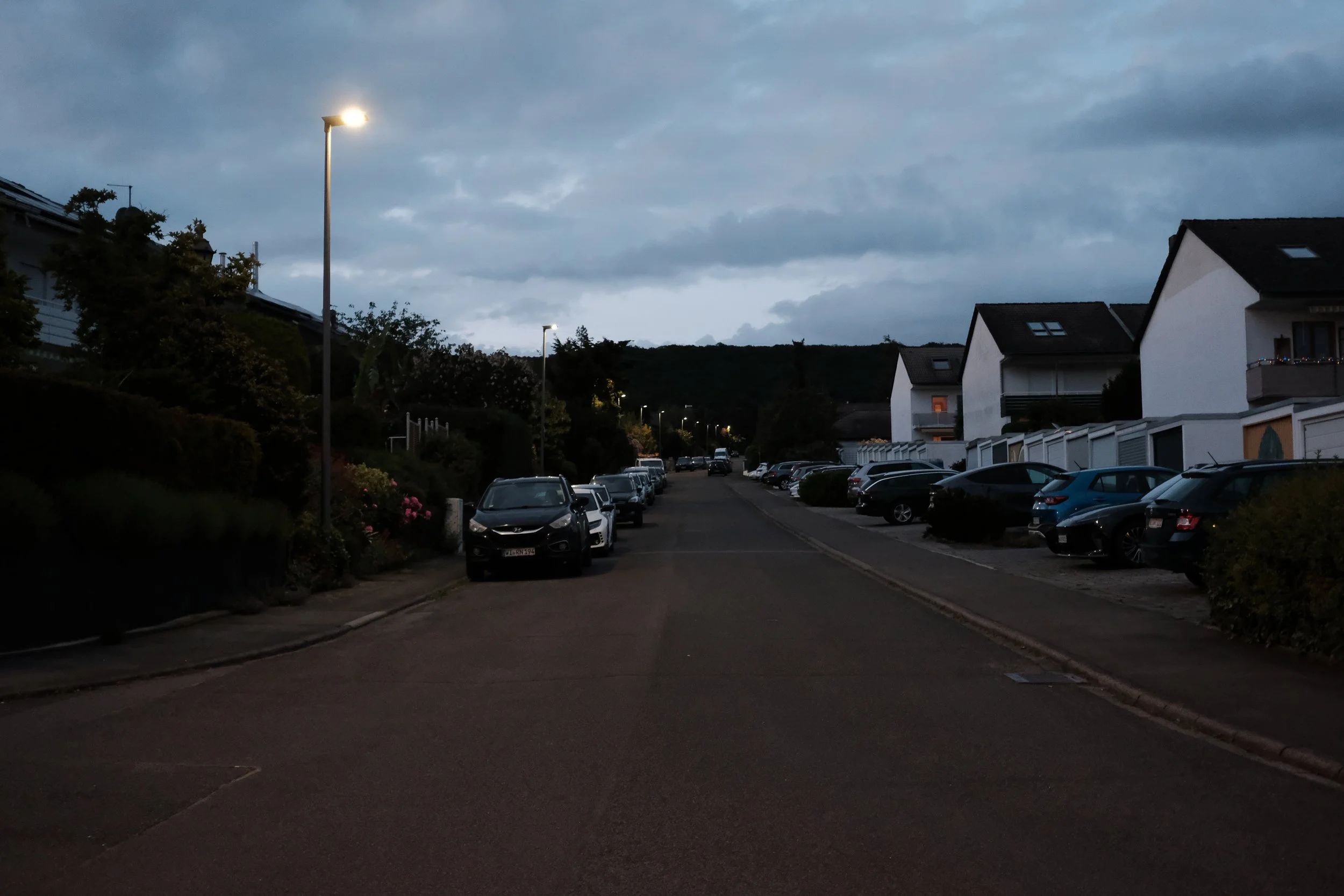 DSCF4865-3.jpg