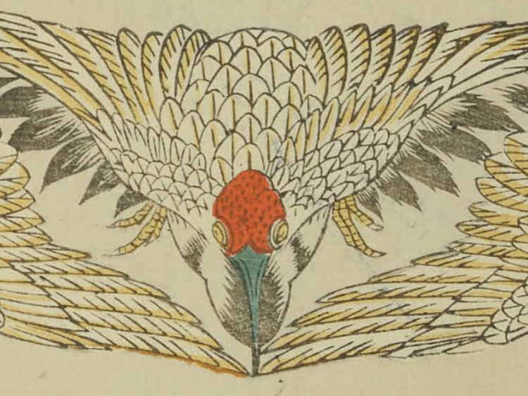 Illustrated artwork showing a stylised bird viewed from above with wings fully spread, featuring detailed patterned feathers in muted cream and gold tones, a red head with large eyes, and a long beak against a pale background.