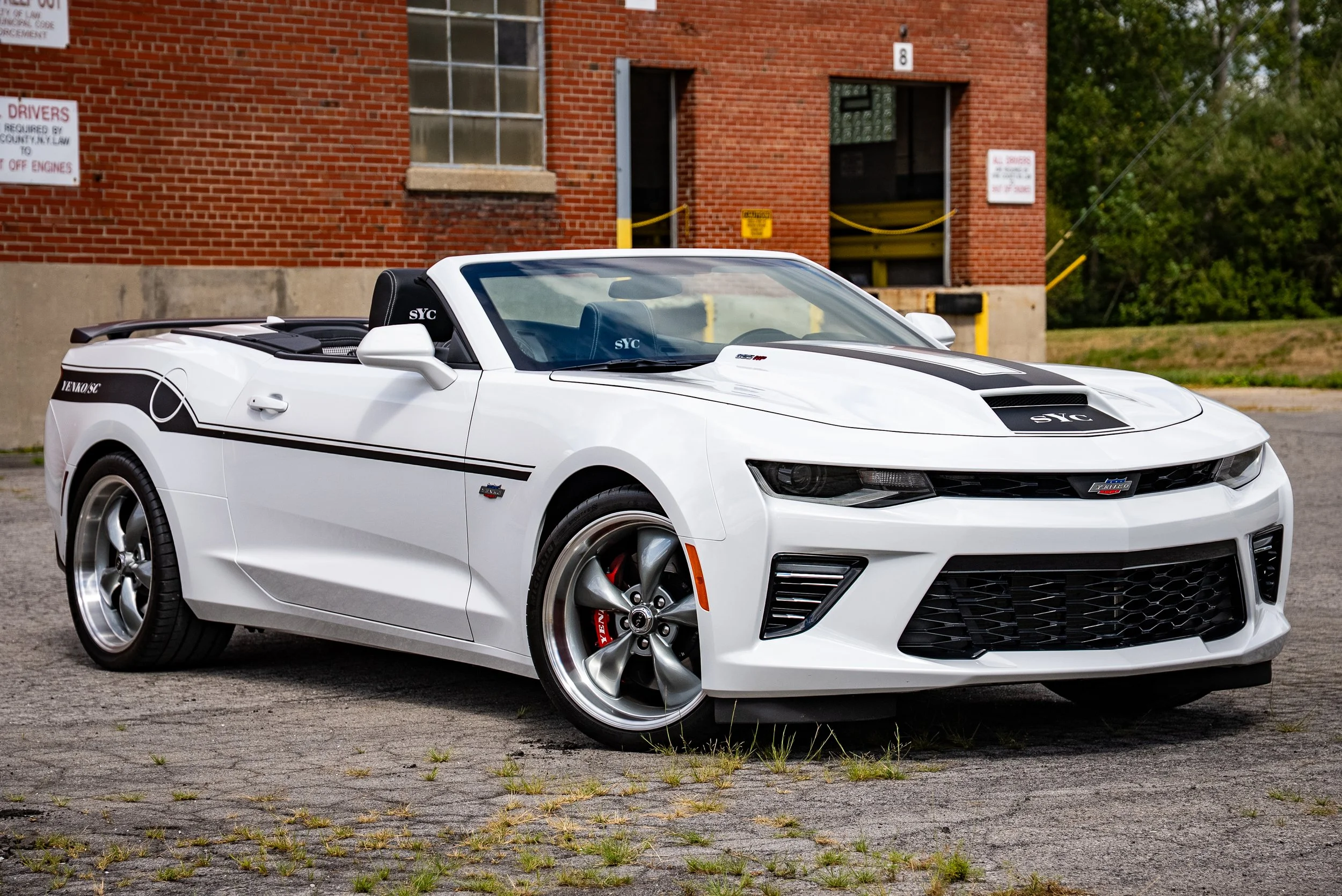 DSC07509.jpg