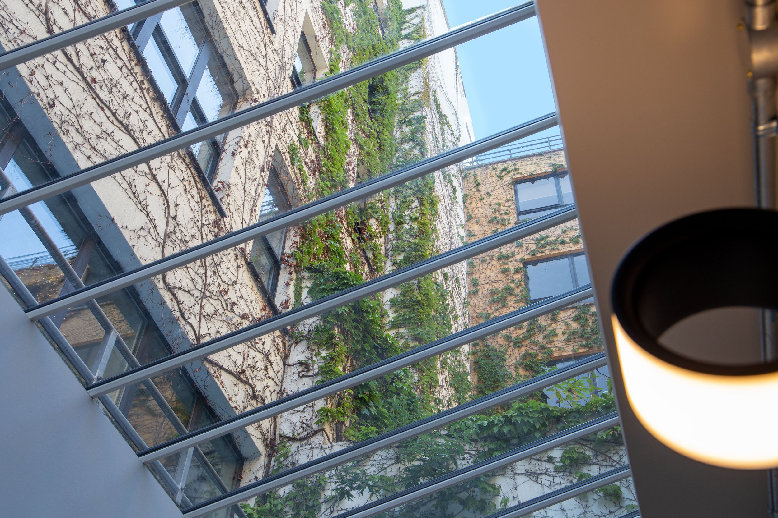 Event_space_Window_View_2.jpg