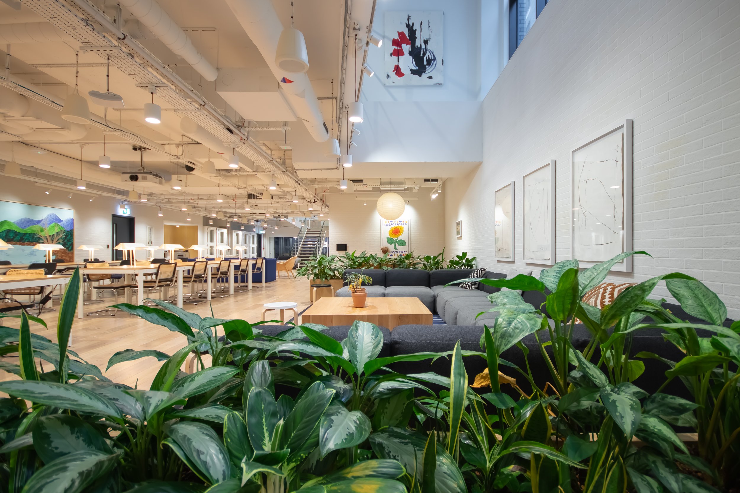 Copy of LG whole floor(1).jpg
