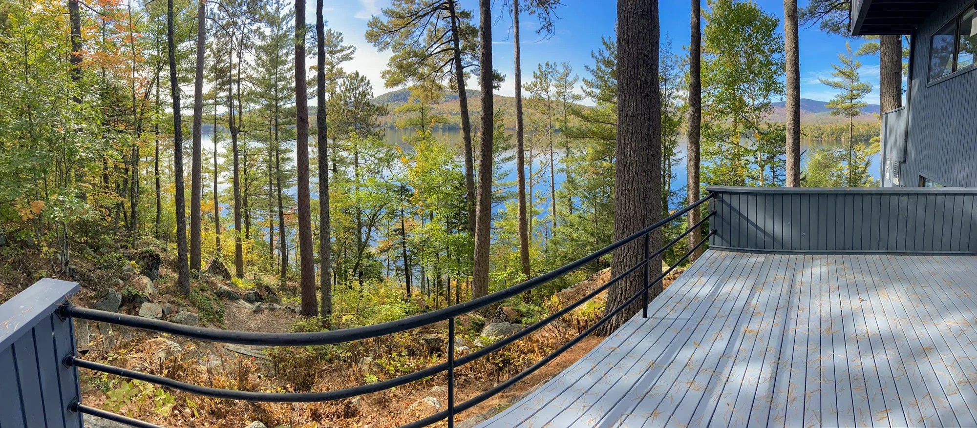 Common Tree Issues in Bridgton, Fryeburg, Lovell &amp; Western Maine