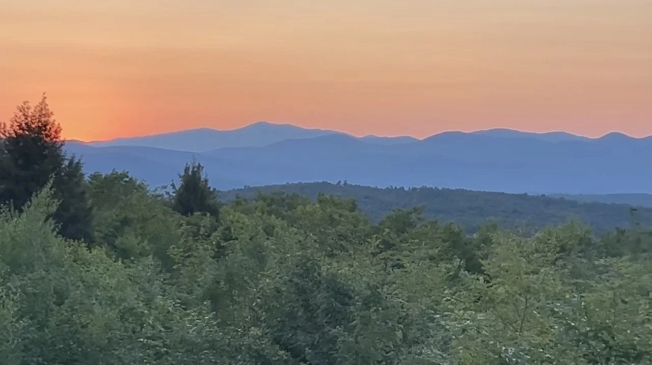 Case Study: Creating a Mountain View Without Losing the Forest