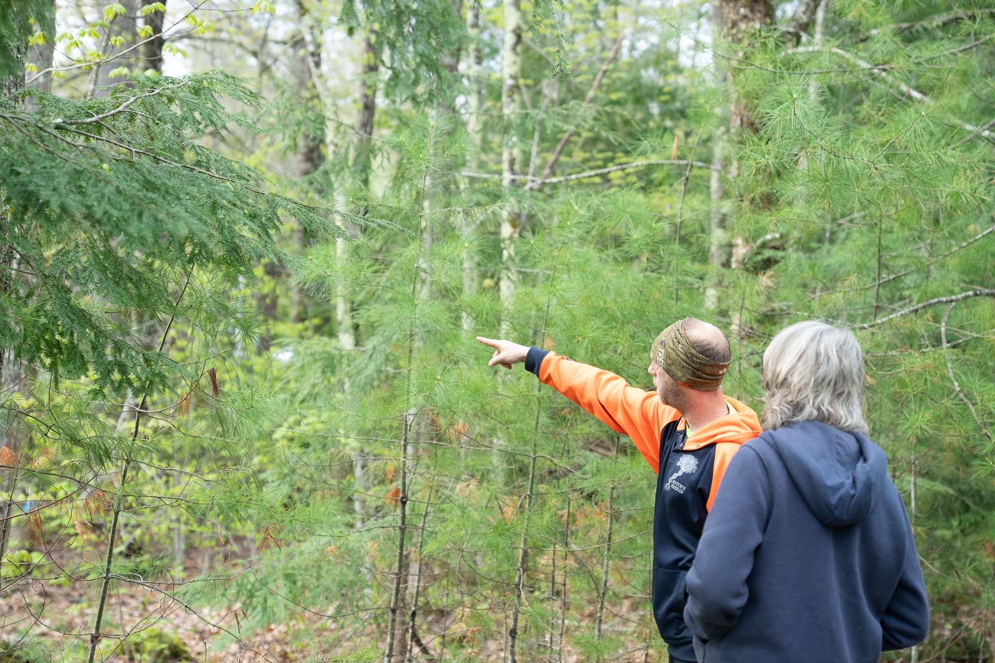Professional Lot Clearing vs. DIY: What Maine Homeowners Should Know