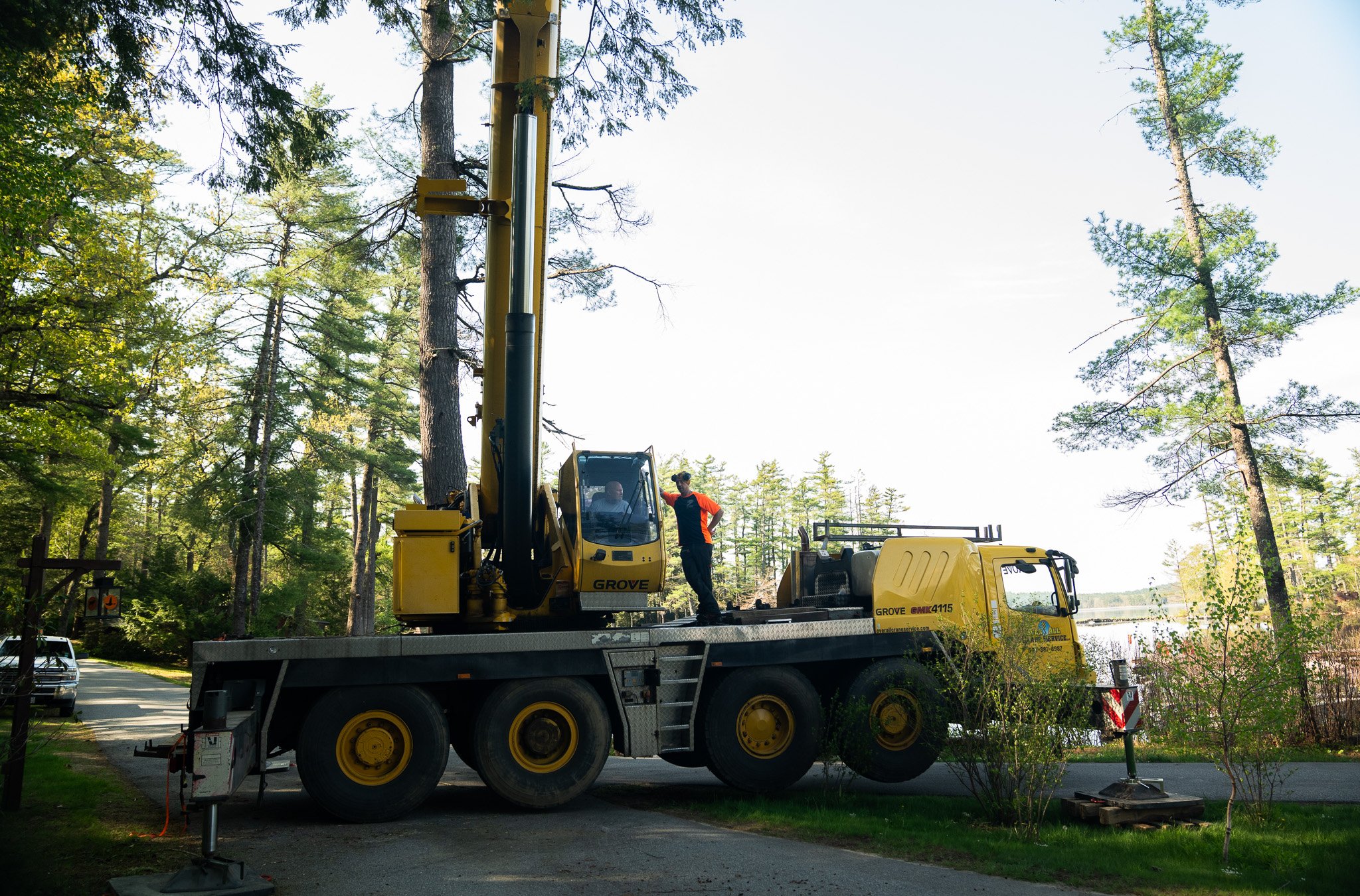 Common Tree Care Myths That Cost Homeowners Thousands
