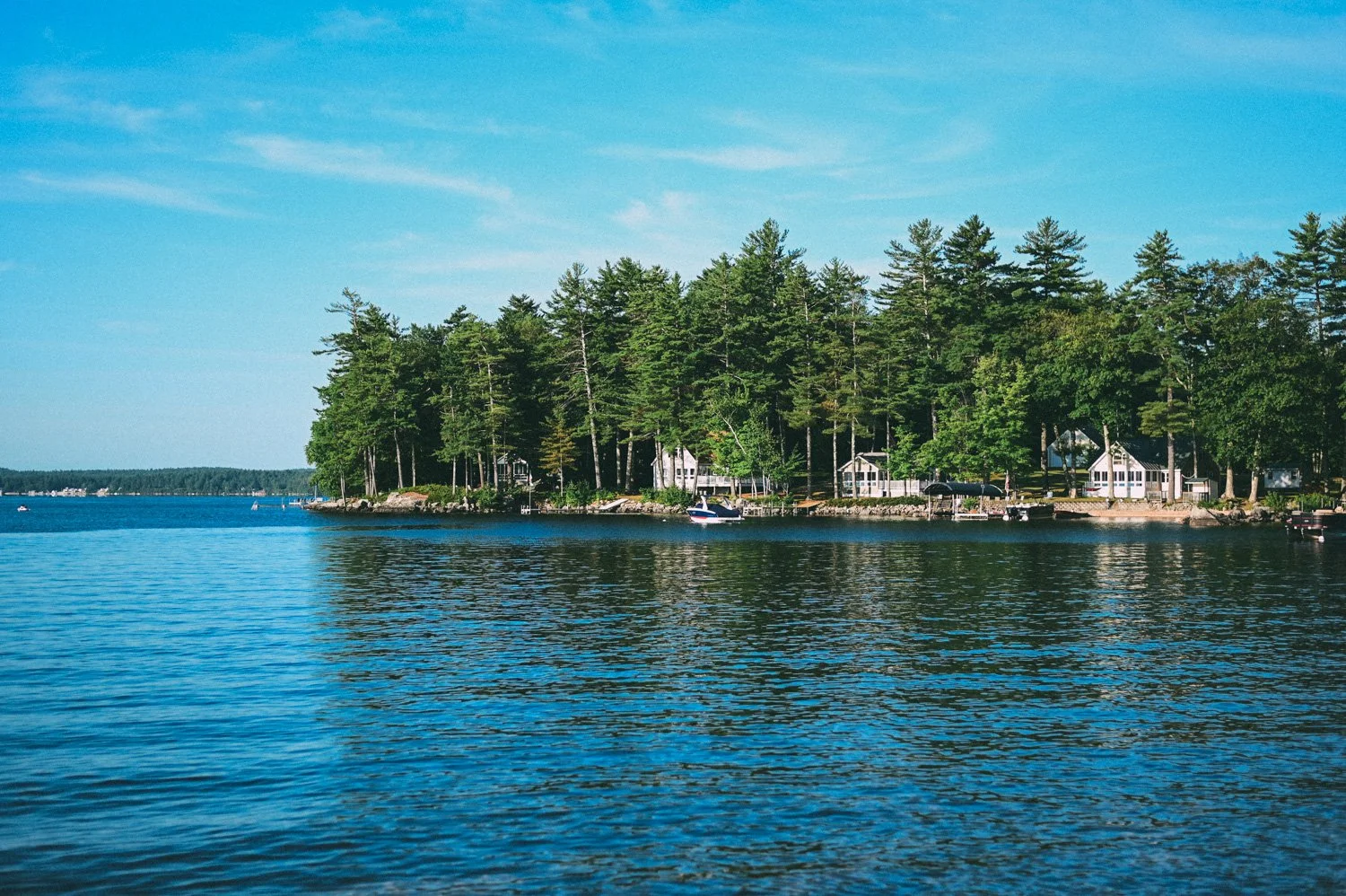 Tree Care Challenges Unique to Maine’s Lakes Region