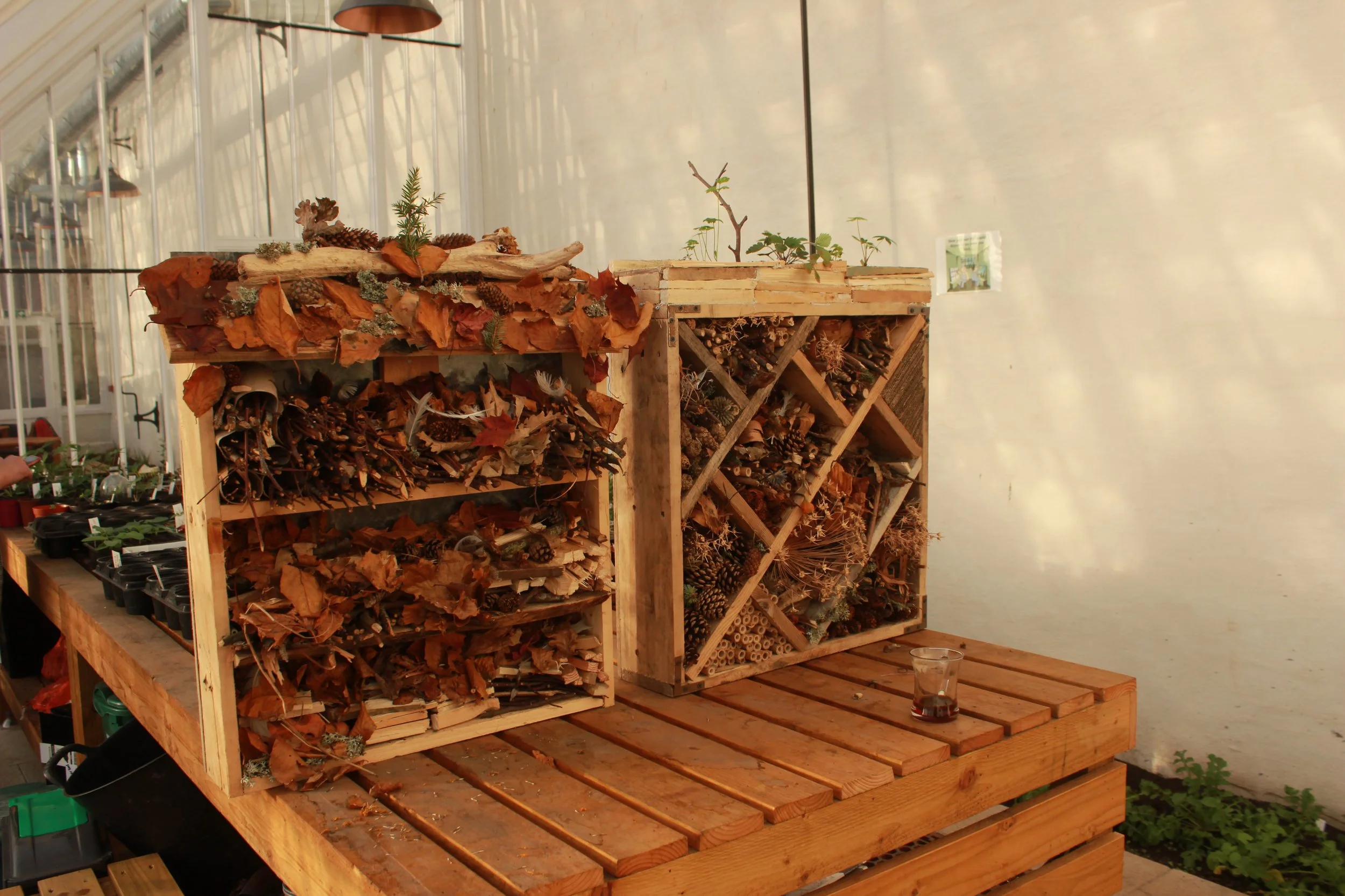 A handmade insect hotel, made from twigs and leaves.