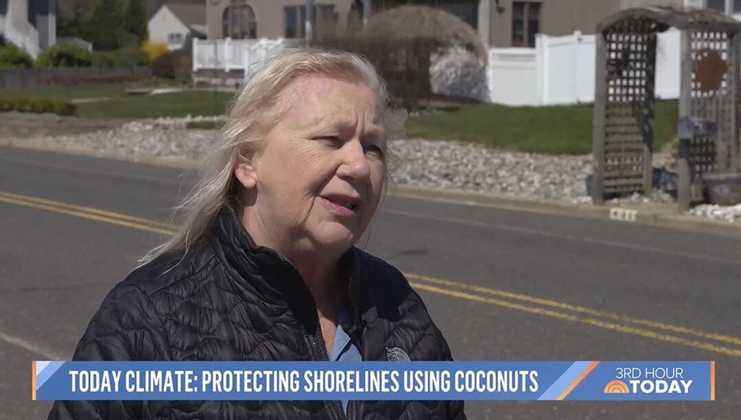 The Shark River Cleanup Coalition board member Arlene Sciarappa and the @littoralsociety 's Executive Director @littoralguy were interviewed by NBC Meteorologist @dylandreyernbc for the Today Show. The segment is focused on the living shoreline proje