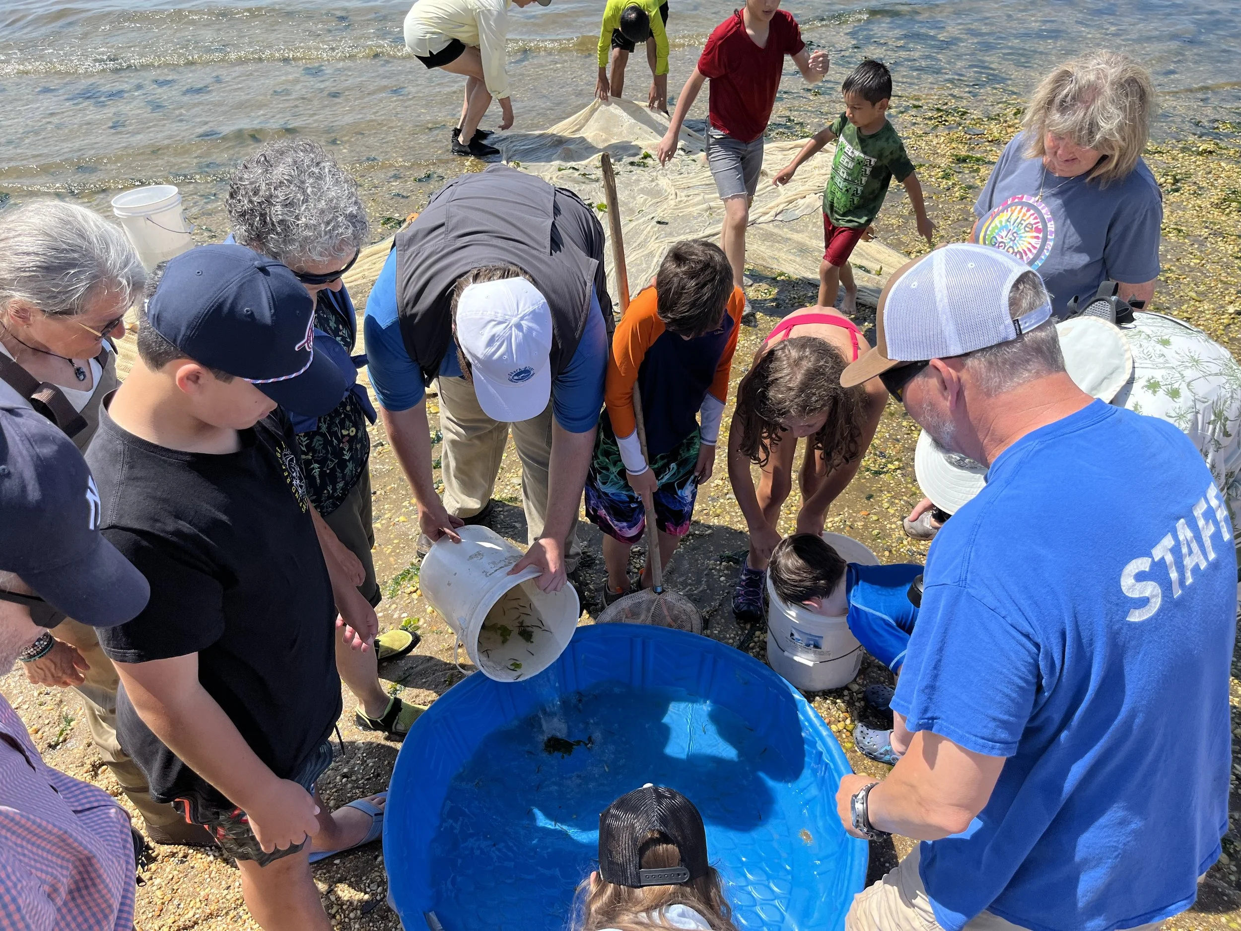 Sunset Seining in Belmar 28Aug2025