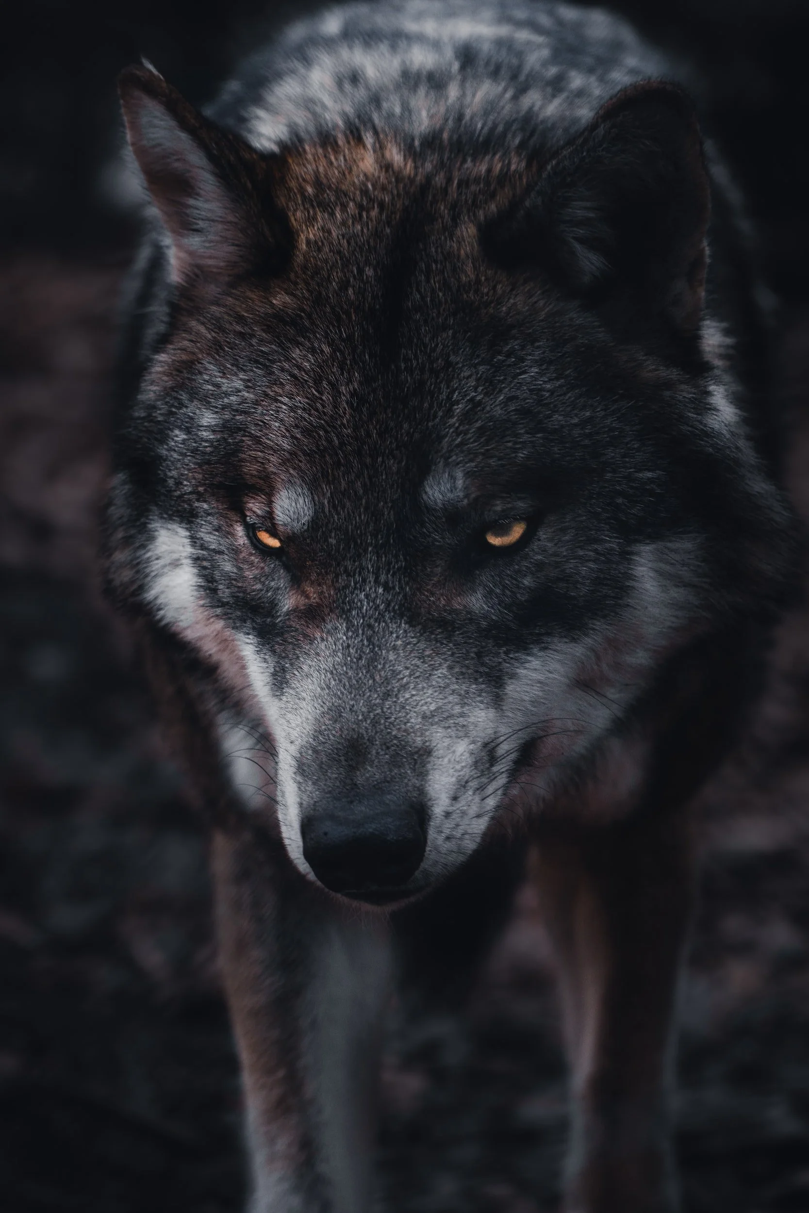 unsplash-image-i6yrDhfZ-XQ.jpg