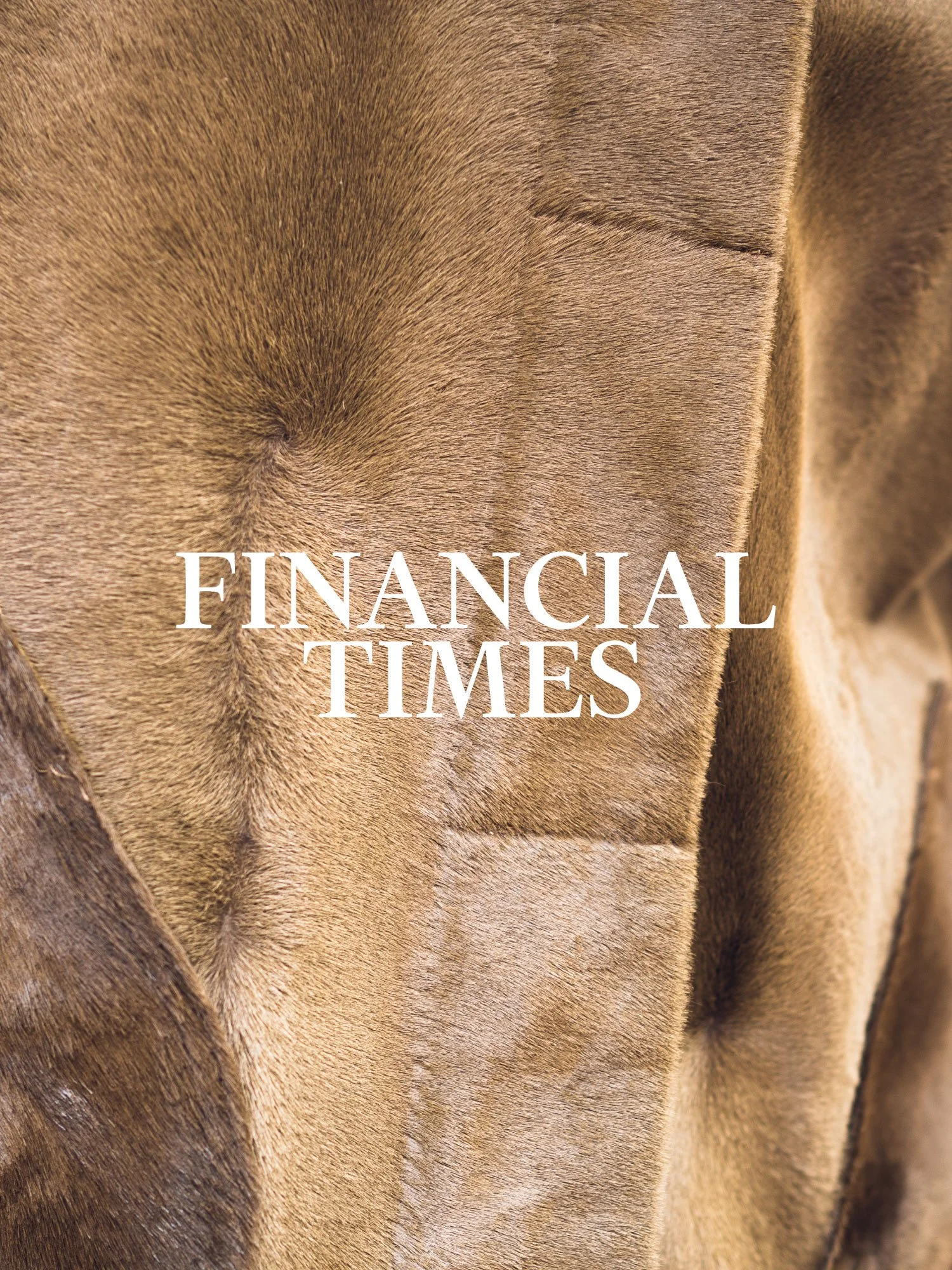 Close-up of a velvet brown fabric with the words 'Financial Times' in white text