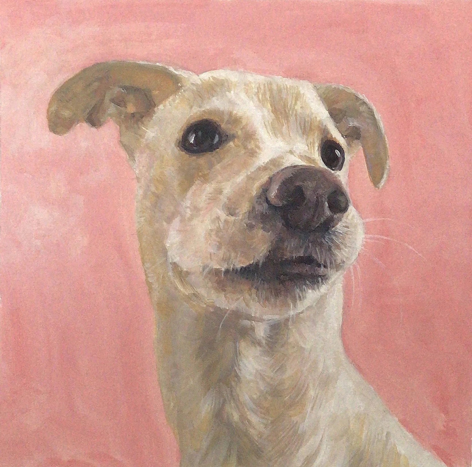 Oil painting of a tan dog with dark eyes and a black nose against a pink background.