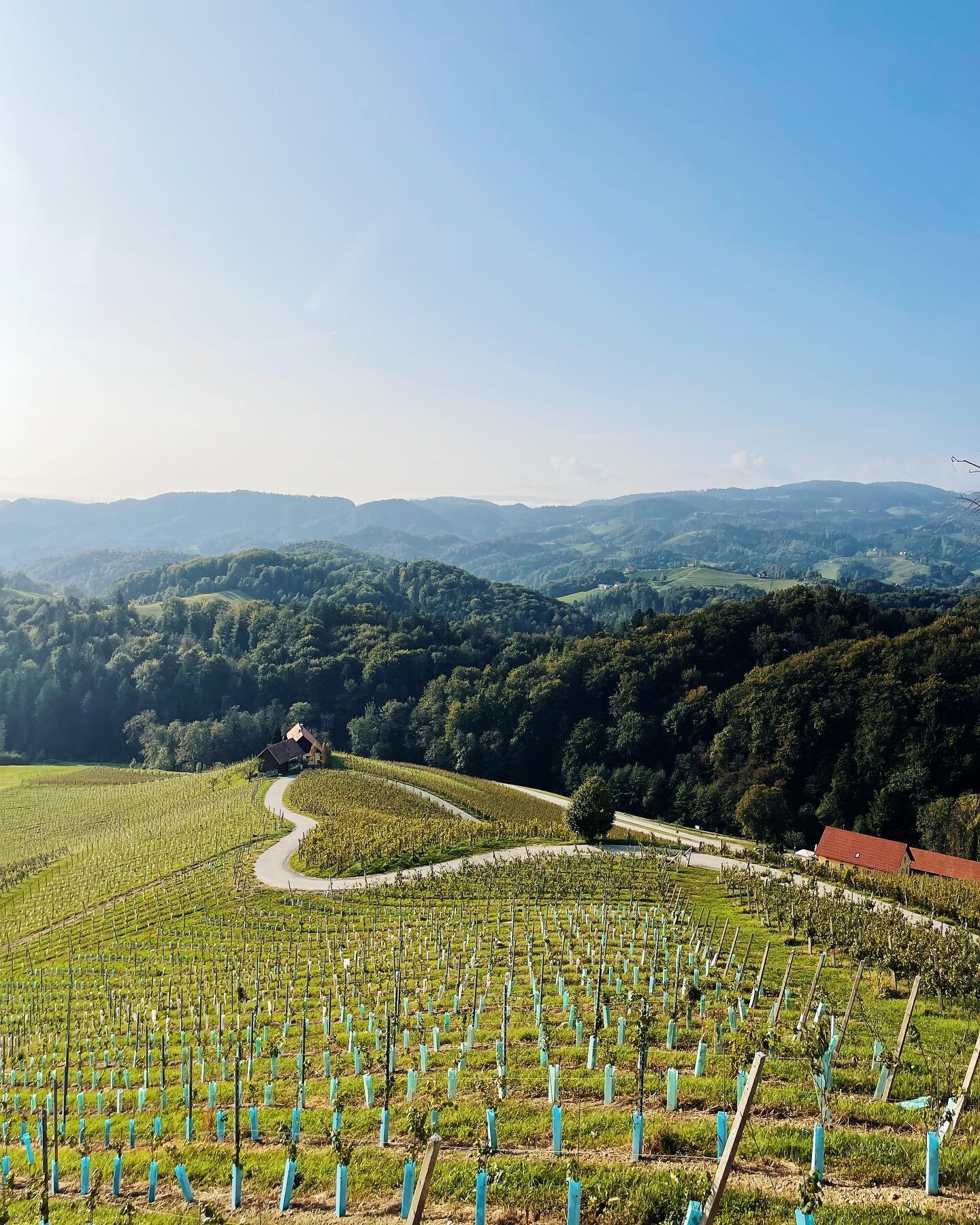 Beautiful wine country.