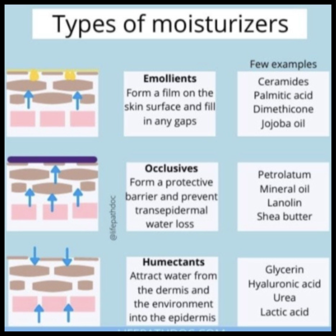 Types of Moisturiser.PNG