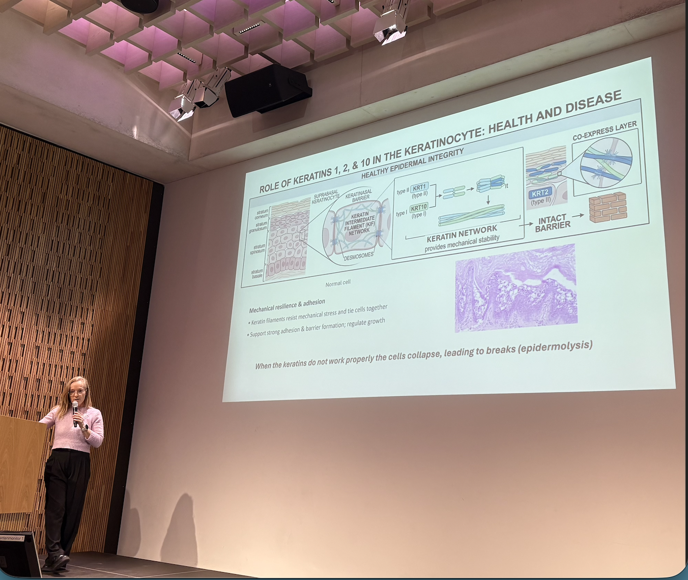 Screenshot 2026-04-03 at 20.14.24.png