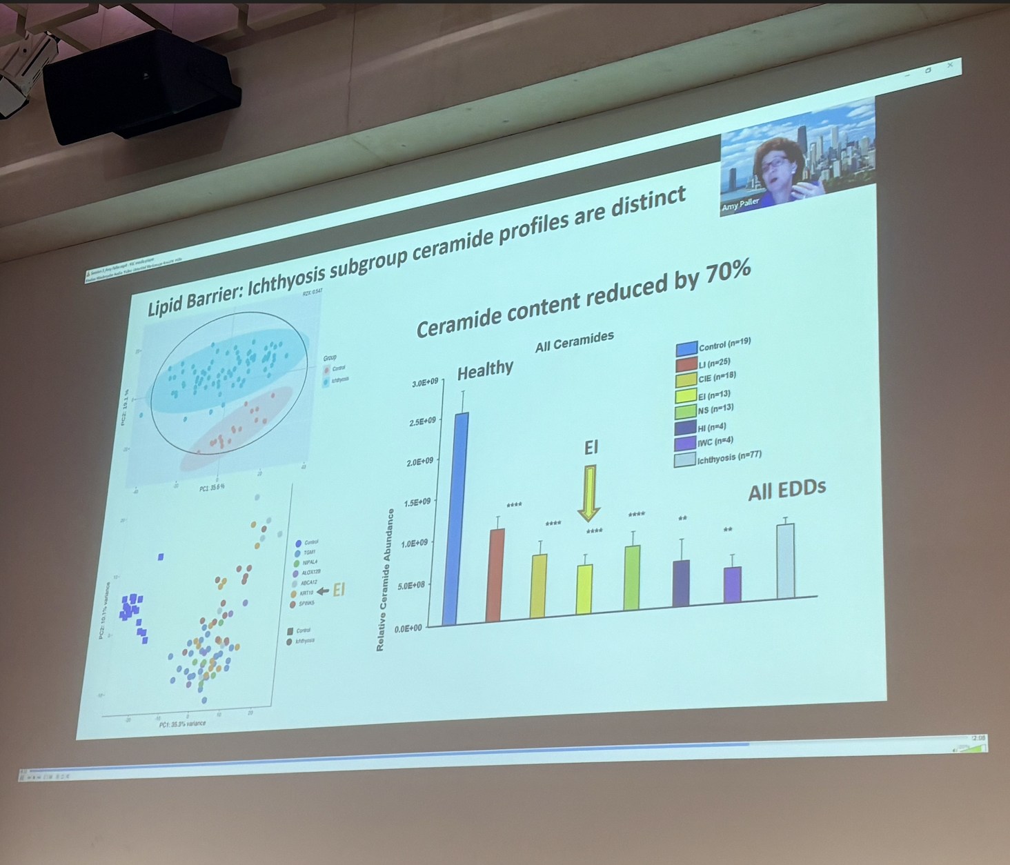 Screenshot 2026-04-03 at 21.03.39.png