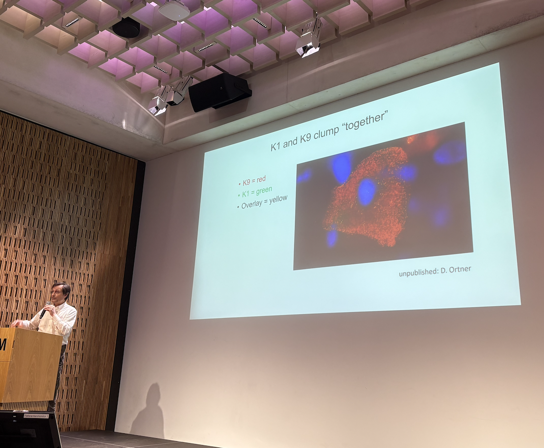 Screenshot 2026-04-03 at 21.23.58.png