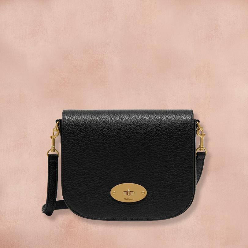 Small Darley Classic Grain Leather Satchel