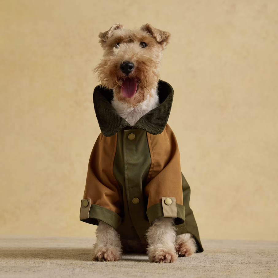 Joules Raincoat for Dogs