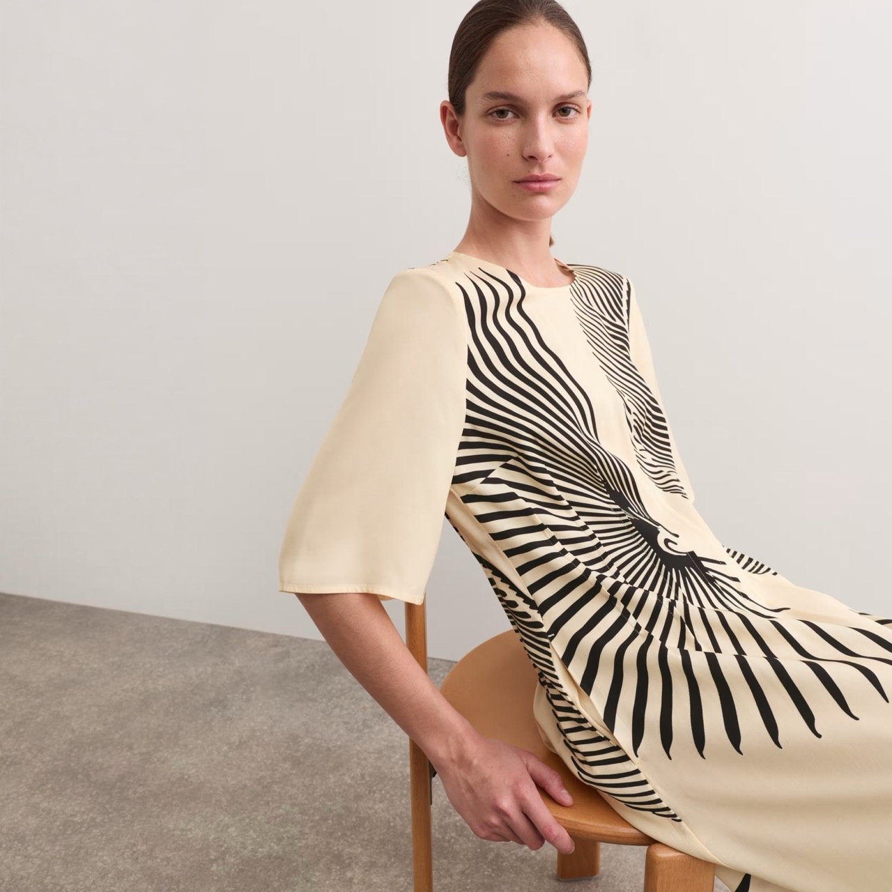 Fan Print Midi Dress