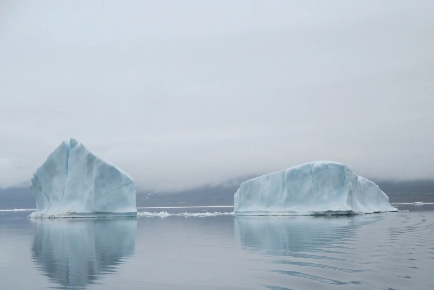 Policy Development, Legislative Drafting and Implementation Services