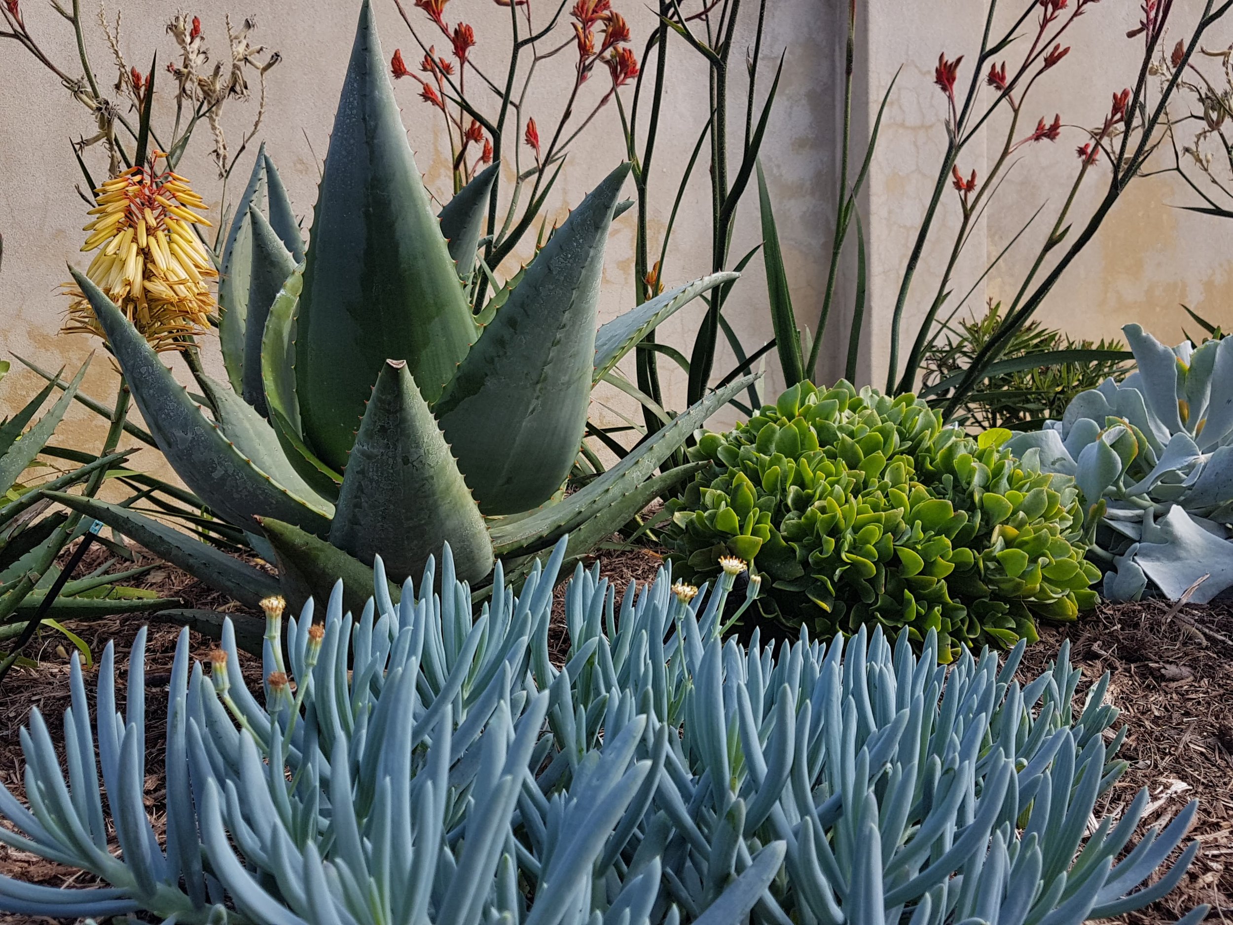 20190723_114539.jpg