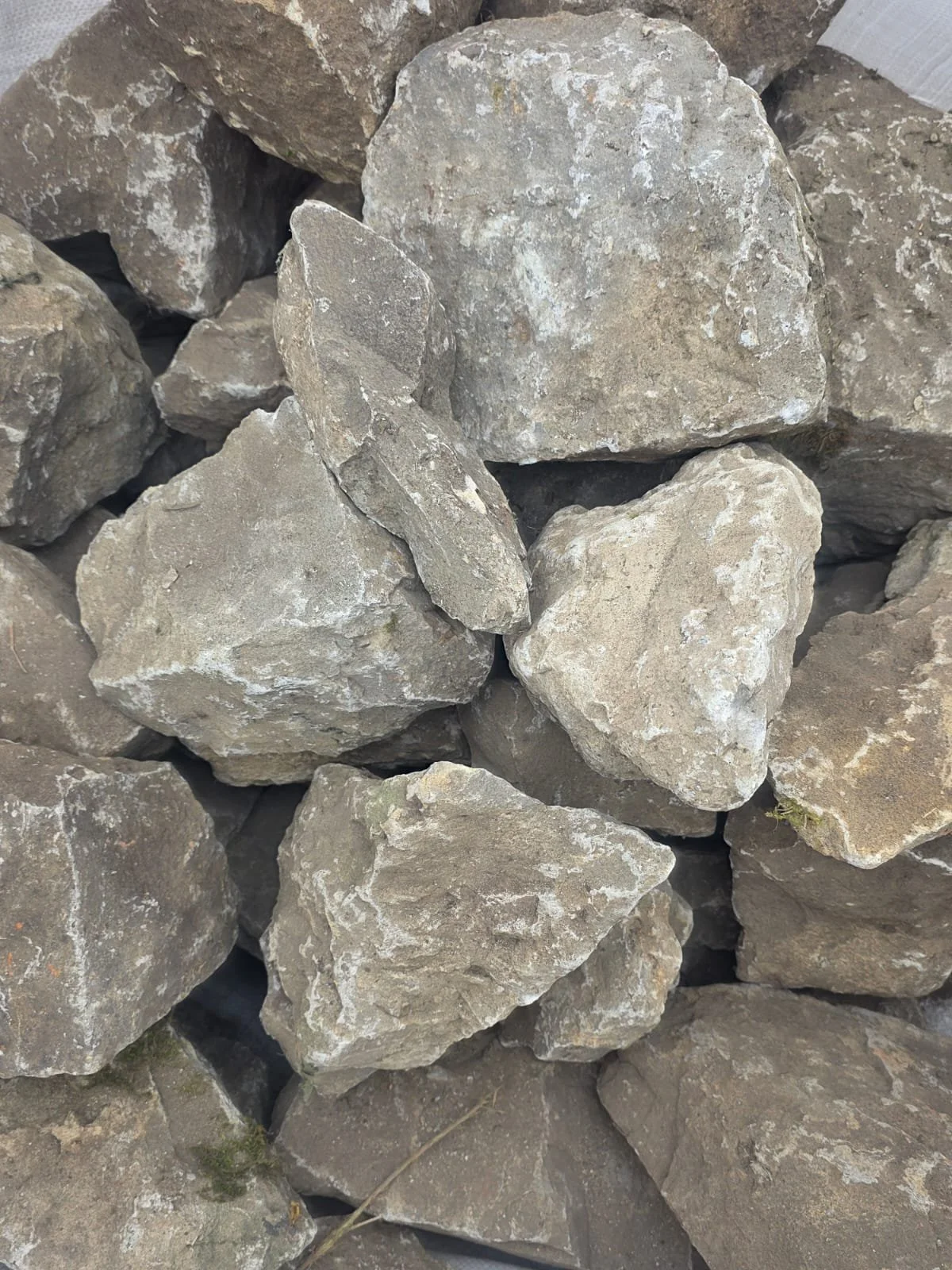 Oversized entish ragstone.jpeg