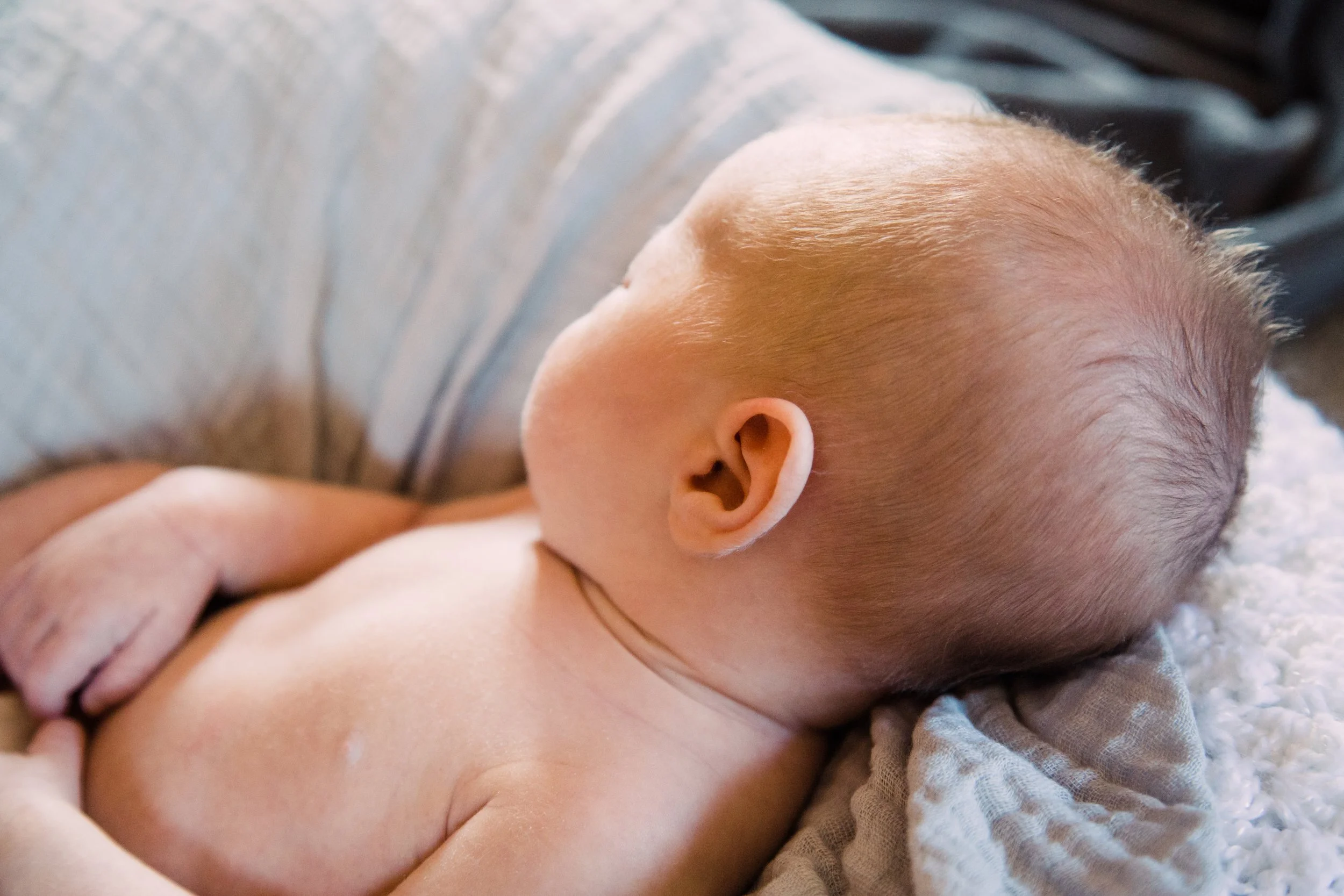 boston family photographer maternity newborn lifestyle portraits