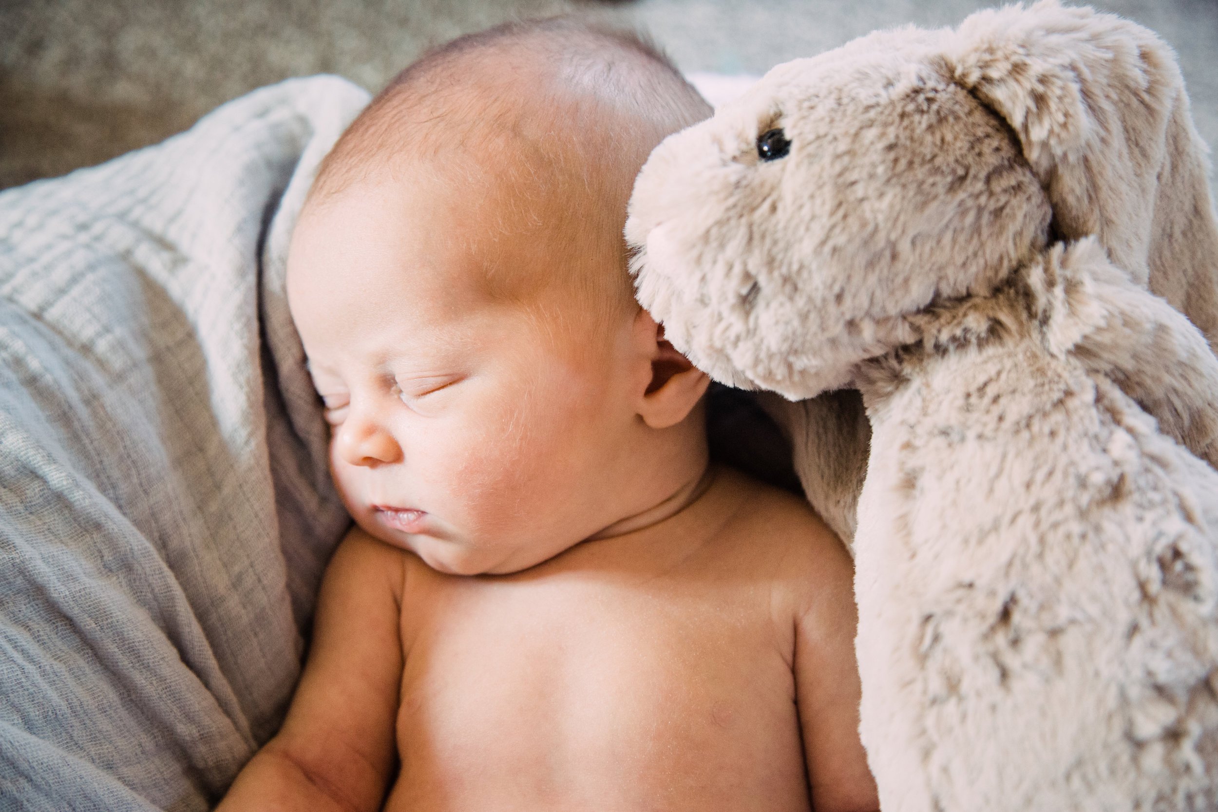 boston family photographer maternity newborn lifestyle portraits