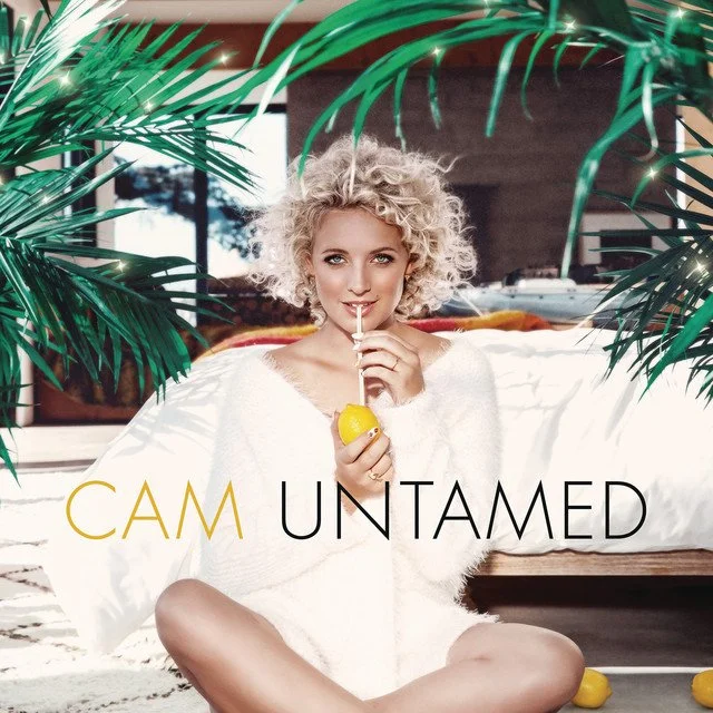 Cam