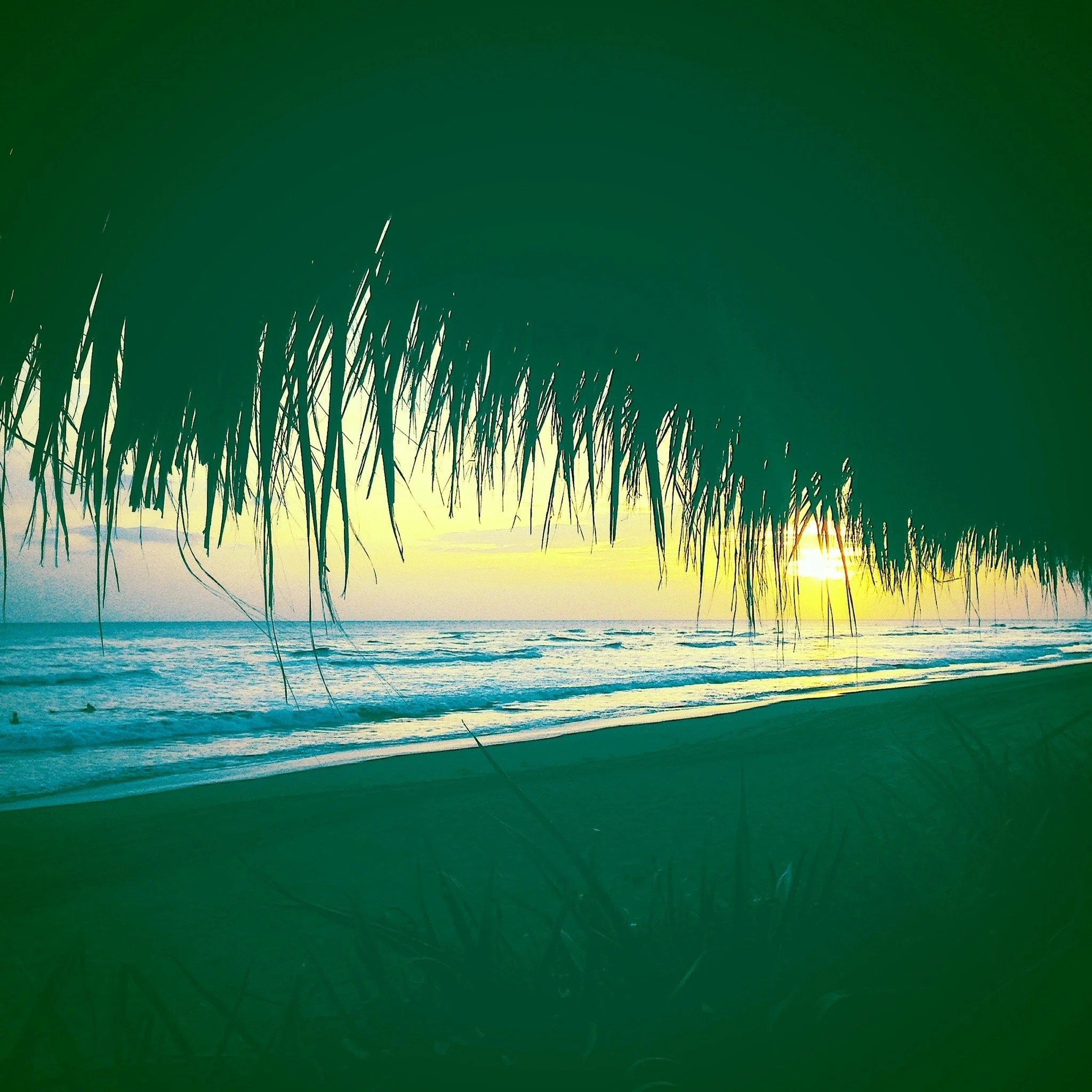 Pristine Nicaraguan beach with golden sand, clear turquoise water, and palm trees under a sunny sky