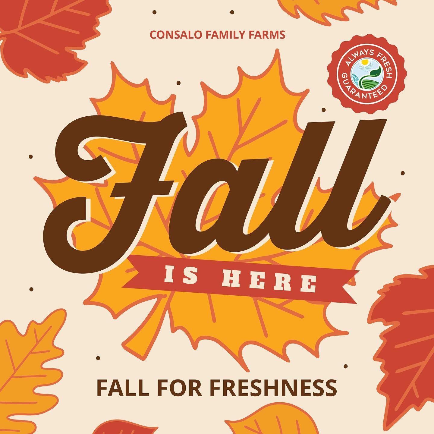 Welcoming the first day of fall at Consalo Family Farms, where we can't help but 'Fall for Freshness' every season!🍂

👨🏻&zwj;🌾 Family owned grower, packer, shipper, importer, &amp; distributor
📍Vineland &bull; Newfield &bull; Hammonton &bull; Eg