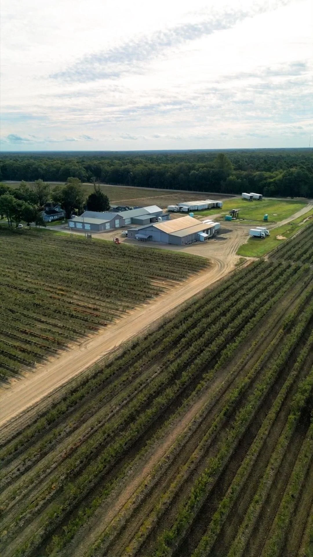 Contact Us — Consalo Family Farms