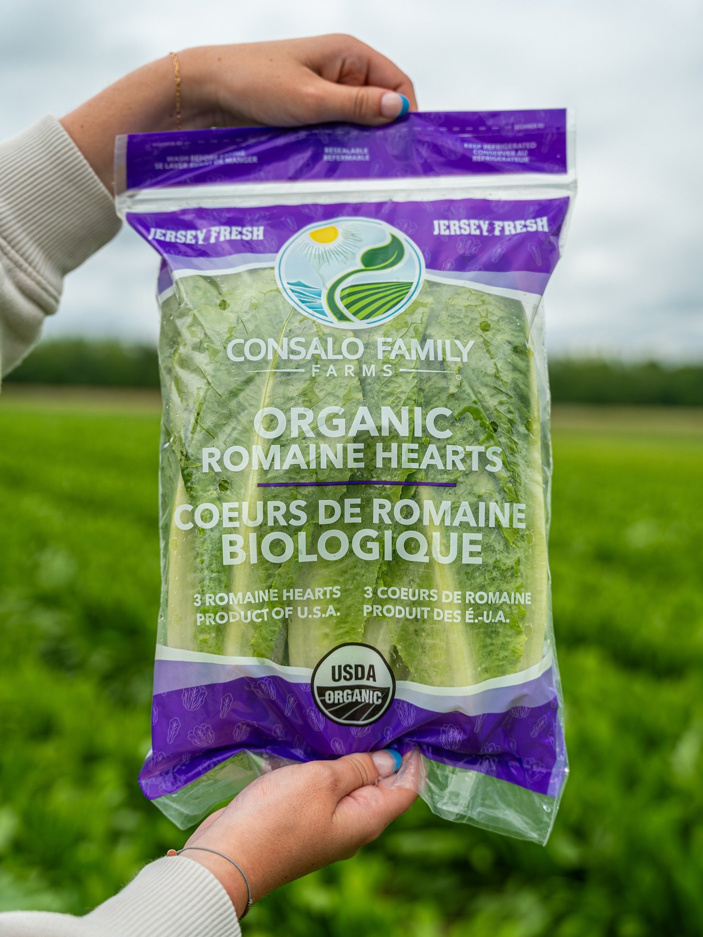Introducing our latest product innovation- packaged romaine hearts 🥬 available organic or conventional! Consalo Family Farms has you covered with eye catching packaging, top quality lettuce, and continuous supply.

👨🏻&zwj;🌾 Family owned grower, p