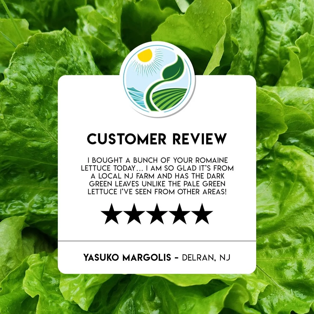 We&rsquo;re thrilled to hear from Yasuko Margolis in Delran, NJ! Thanks for the love for our vibrant romaine lettuce. We would love to hear more stories!

Support local farmers and enjoy our crisp, dark green, Jersey Fresh Romaine!🥬 #CustomerLove #F
