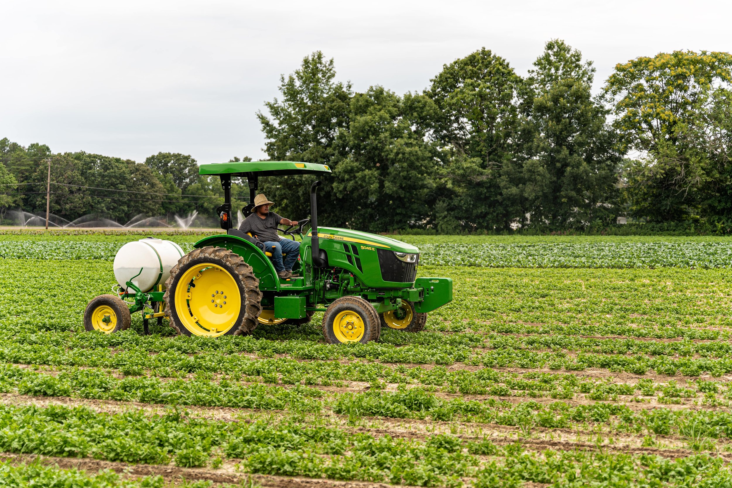 Farm Operations — Consalo Family Farms