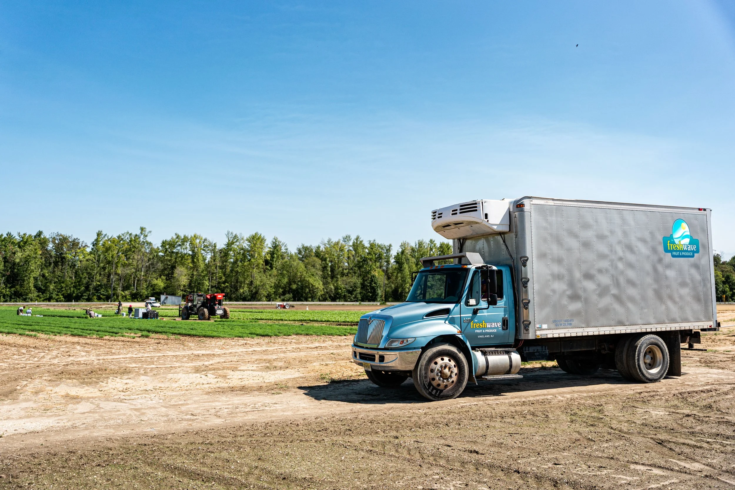Fresh Wave — Consalo Family Farms