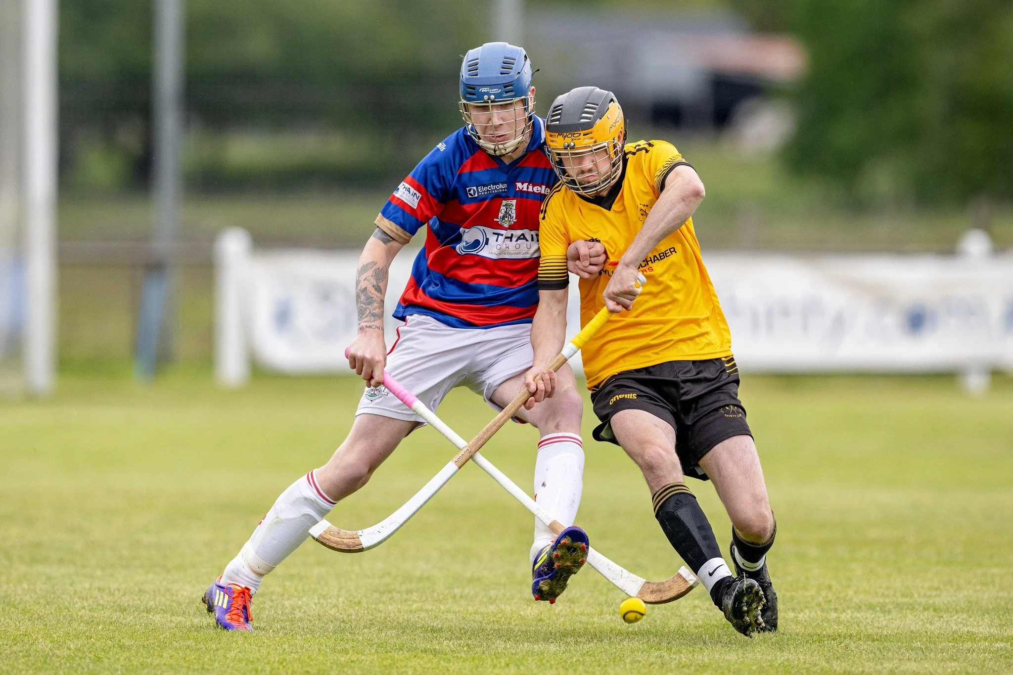 Shinty