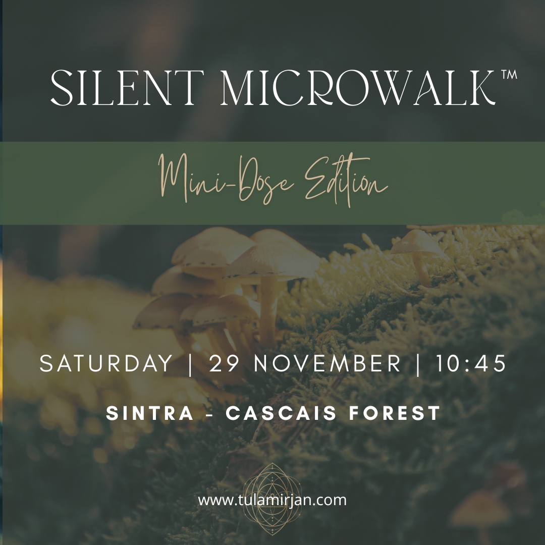 Silent MicroWalk™ 𓍊𓋼𓍊 Mini-Dose Edition