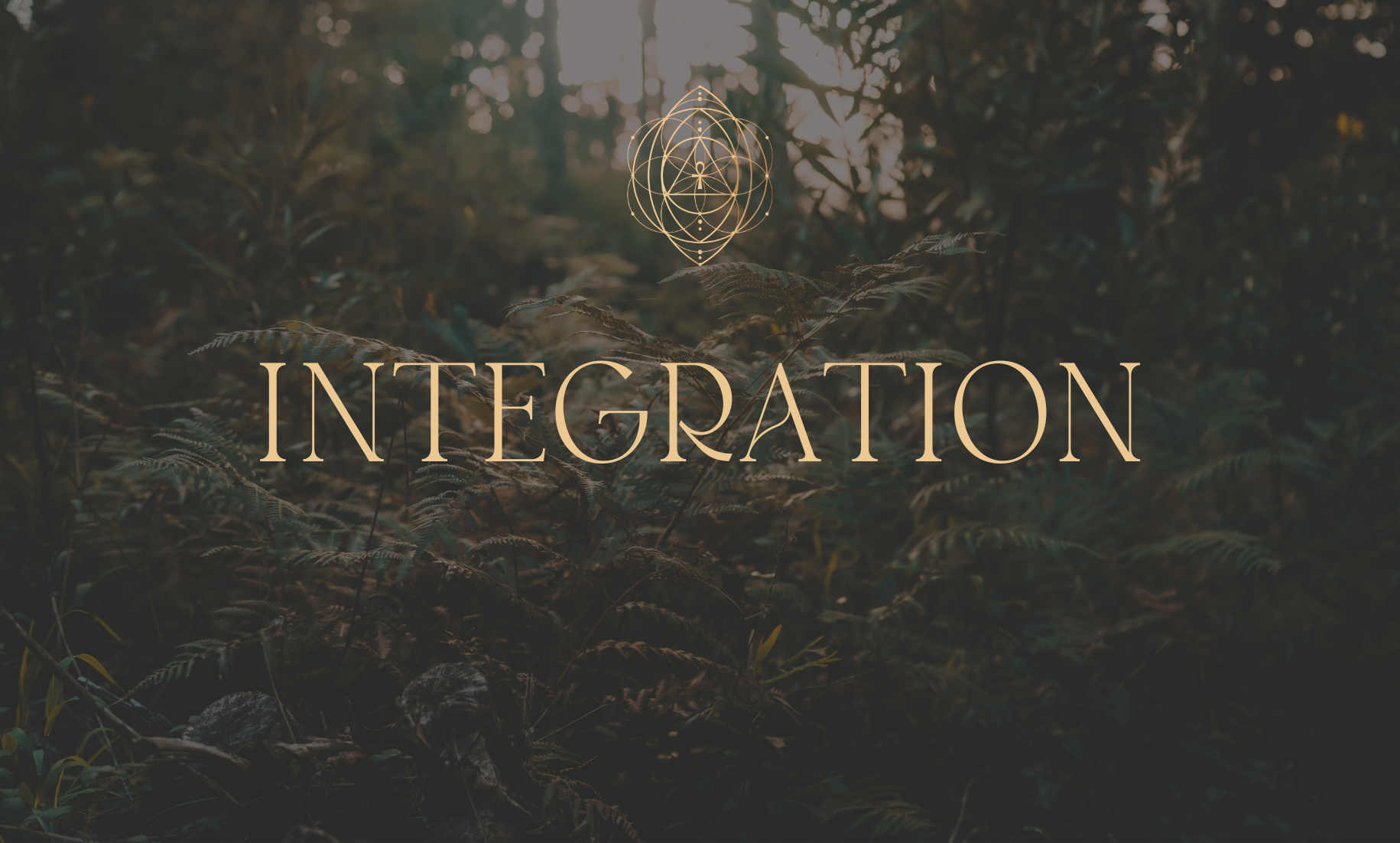 INTEGRATION