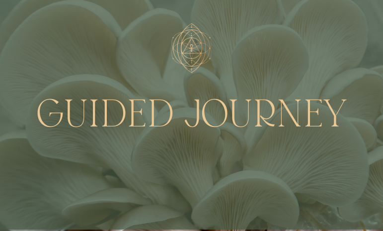 GUIDED JOURNEY