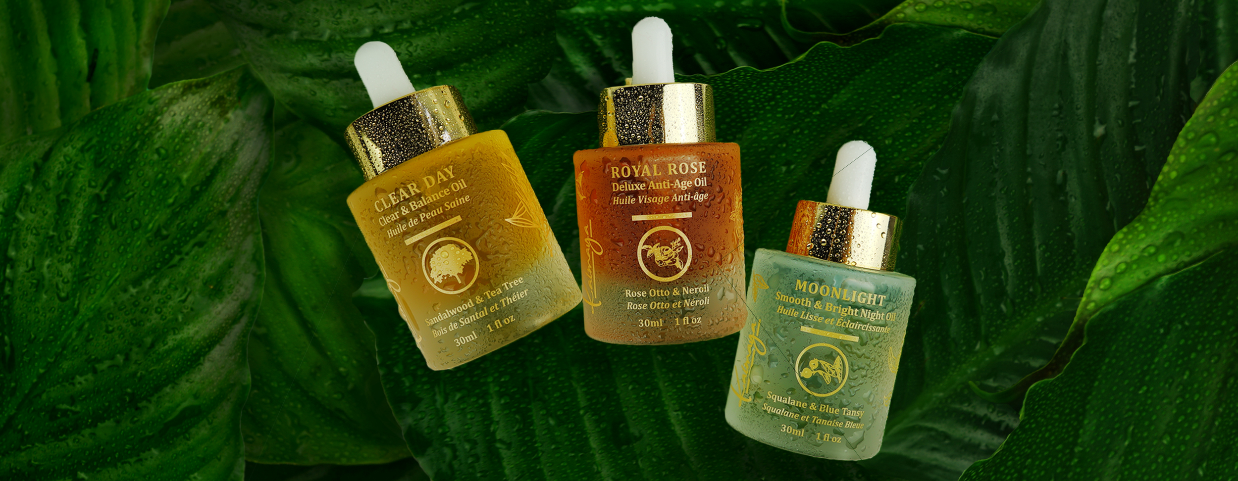 Luxury Skincare Brand Launch
