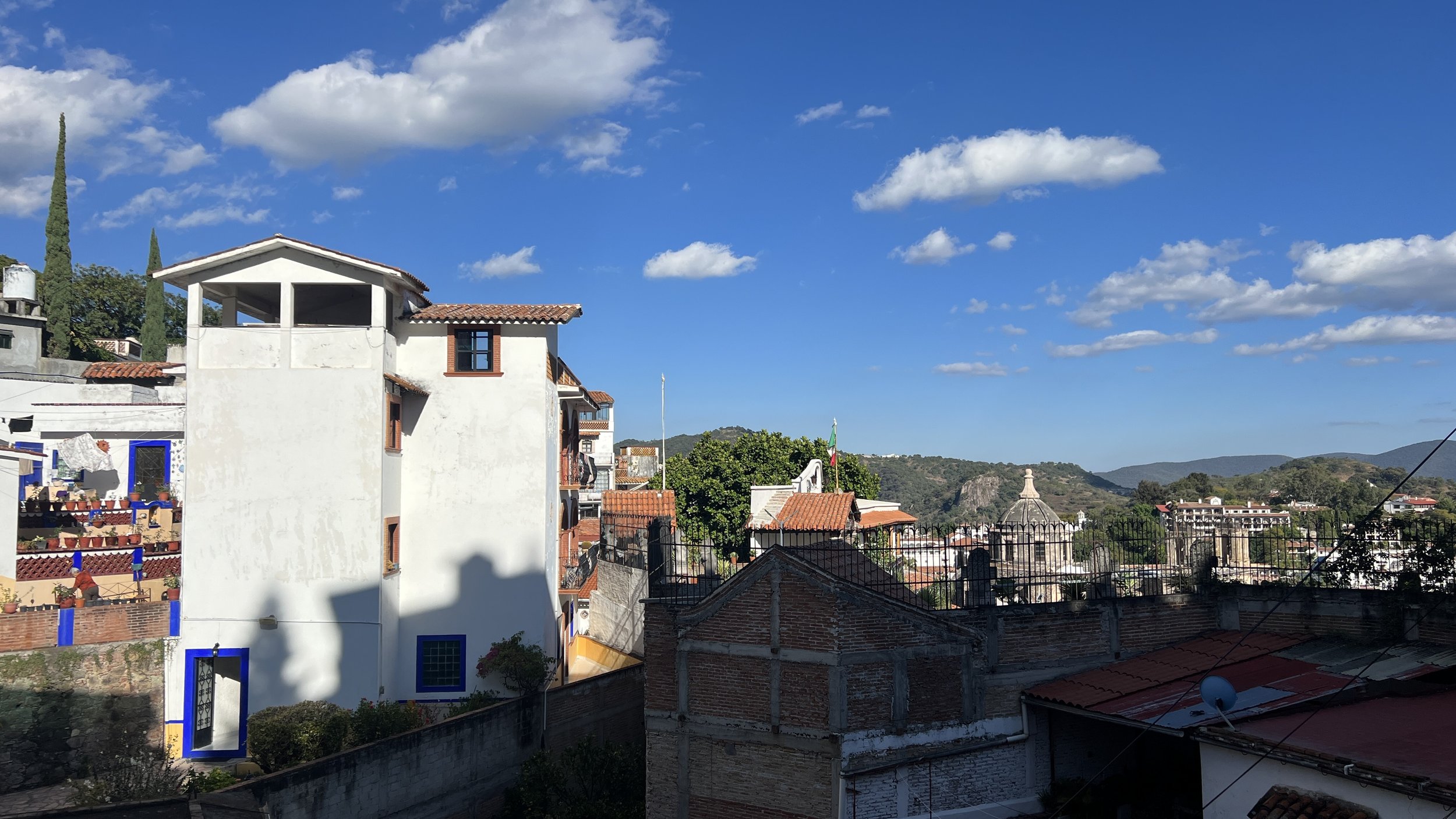 IMG_3313.JPEG