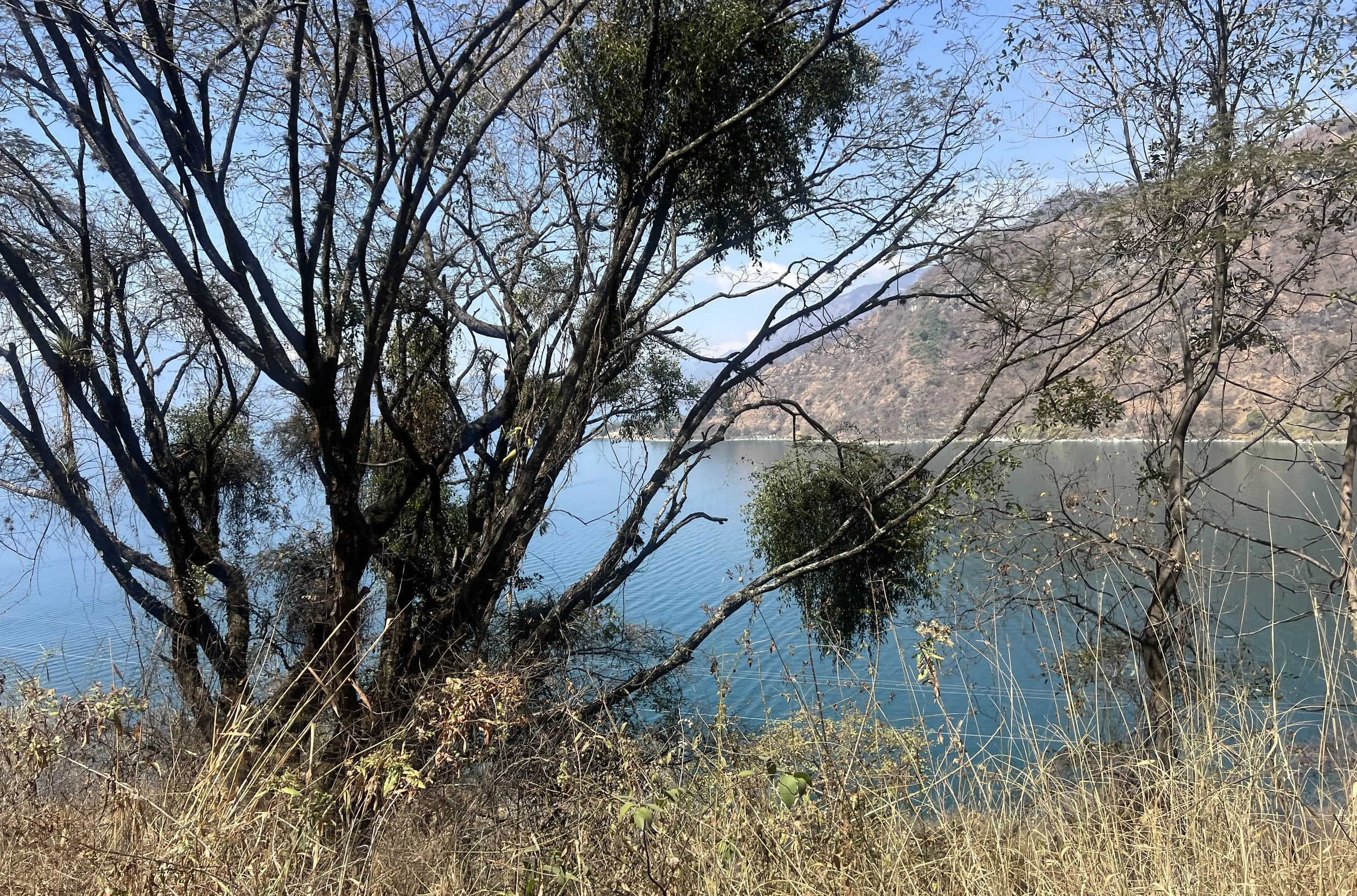 IMG_8388.JPEG