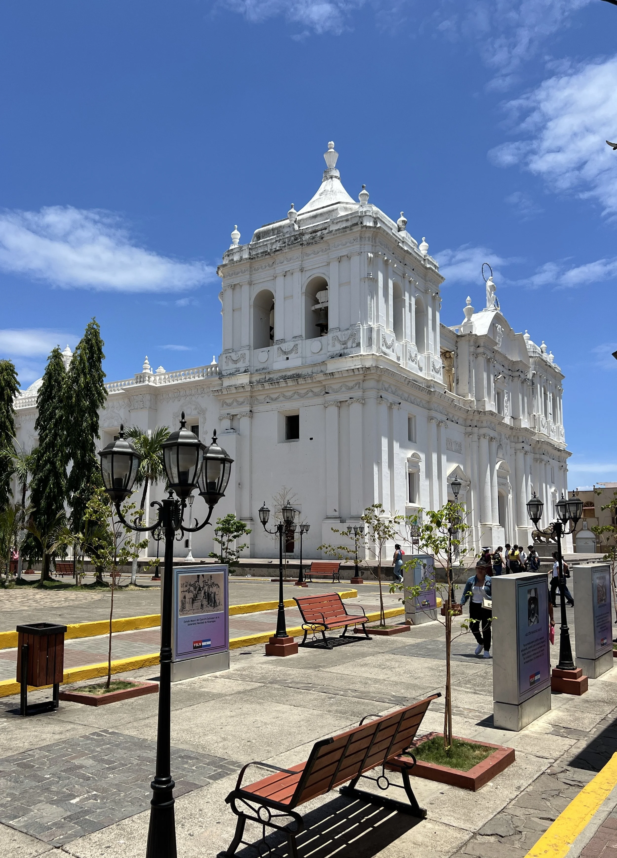 IMG_7659.JPEG